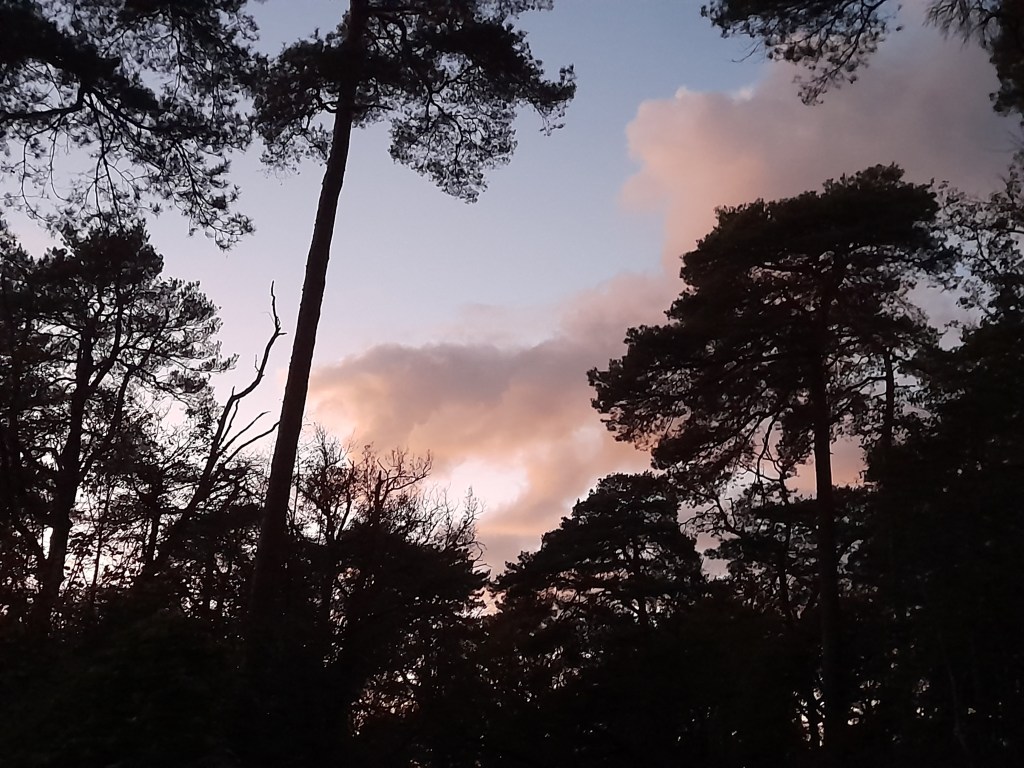 Inspirations de la&nbsp;nature